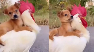 Reprodução / Instagram