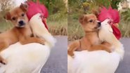 Reprodução / Instagram