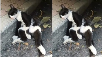 Reprodução / Instagram