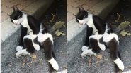Reprodução / Instagram