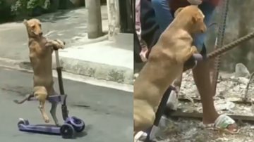 Reprodução / Instagram