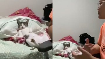 Reprodução/TikTok @letsamst