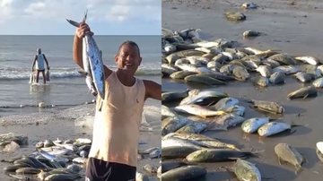 Reprodução/ Redes sociais