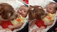Reprodução/TikTok @pitbulldraxx