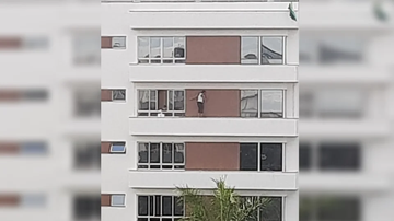 Reprodução / Vídeo