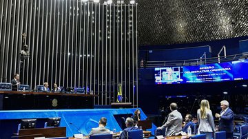 Valdemir Barreto/Agência Senado