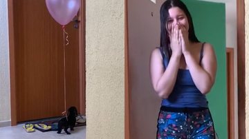 Imagem Surpresa de homem para namorada quase dá errado após susto de cachorro; assista