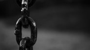 Reprodução/Pexels