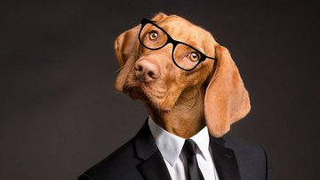 Ilustrativa / Pixabay