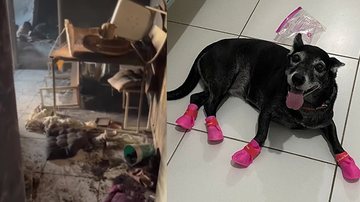 Reprodução/Arquivo Pessoal