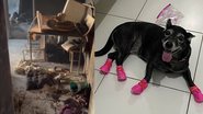 Reprodução/Arquivo Pessoal