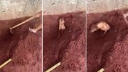 Reprodução/ Vídeo- montagem BHAZ