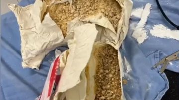 Foto: Reprodução/PRF