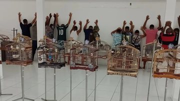 Criadores de pássaros fazem protesto em Salvador nesta quinta-feira (31);  entenda caso
