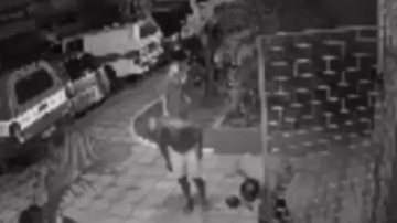 Reprodução / Vídeo