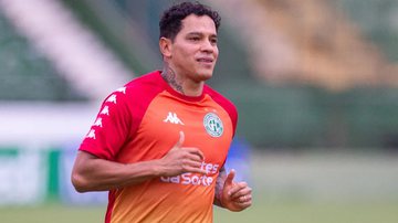 Foto: Thomaz Marostegan/Guarani FC