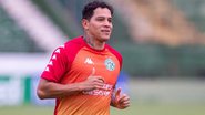 Foto: Thomaz Marostegan/Guarani FC