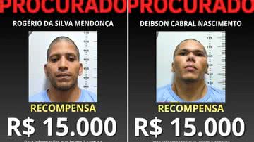 Divulgação