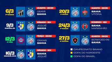 divulgação/ EC Bahia