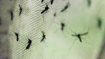 Arquivo/Agência Brasil