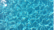 Foto Ilustastiva / Canva
