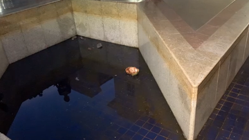 Reprodução/Leitor BNews