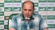 Cesar Greco/Palmeiras
