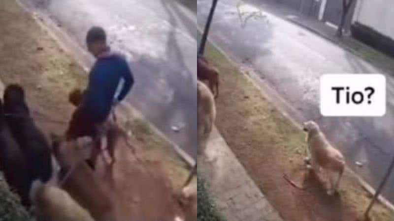 Reprodução// TikTok @sabermaistkt
