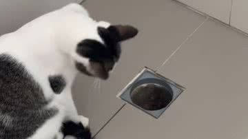 Reprodução// TikTok @nananaths