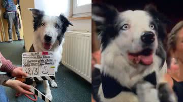 Reprodução//Instagram e Vídeo