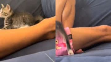 Reprodução//TikTok @jjucabral