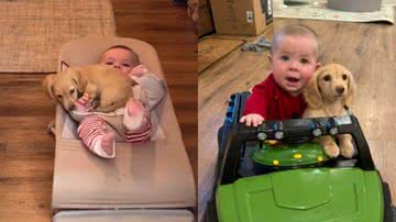 Reprodução// TikTok @ryannstjohn