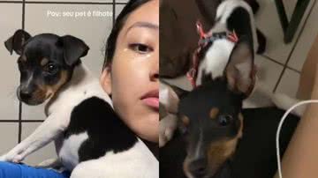 Reprodução// TikTok @sarahcris_cortes