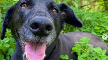 Reprodução// Instagram