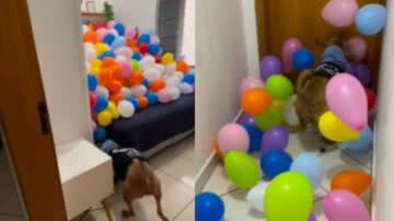 Reprodução / Instagram