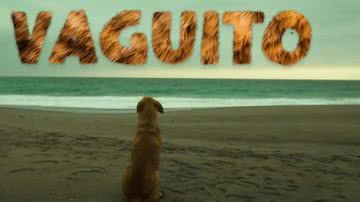 Reprodução// Vídeo