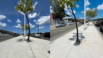 Reprodução / Redes Sociais