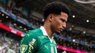 Marco Galvão / Palmeiras