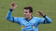 Cesar Greco / Palmeiras