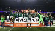 Palmeiras último campeão paulista | Foto: Cesar Greco / Palmeiras