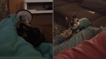 Reprodução / Redes Sociais