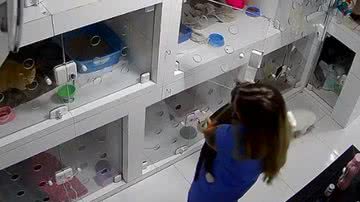 Reprodução / Vídeo