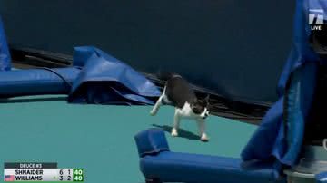 Reprodução//Vídeo