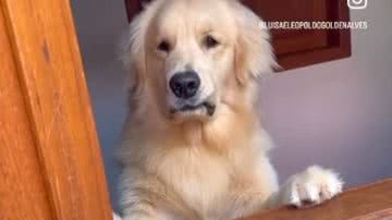 Reprodução/RedesSociais