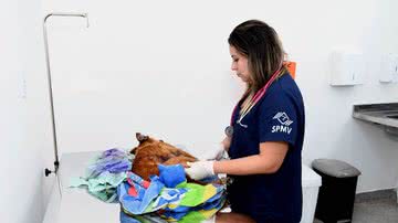 Jefferson Peixoto/ Secom