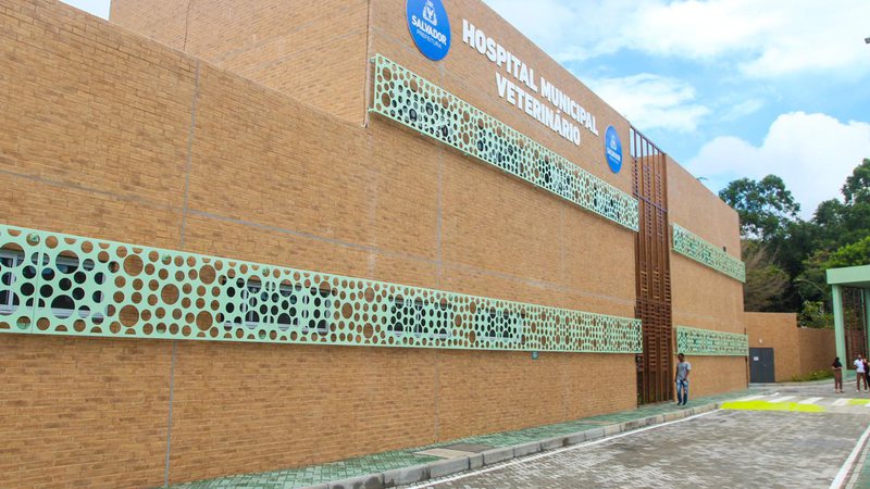 Domingos Júnior/BNews