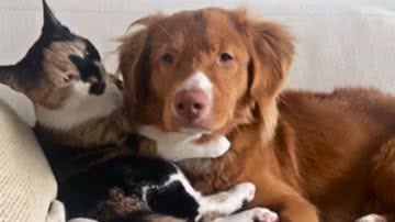 Reprodução / Redes Sociais