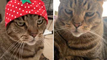 Reprodução / Redes Sociais