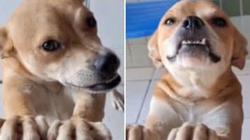 Reprodução / Redes Sociais