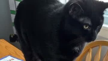 Reprodução / Redes sociais